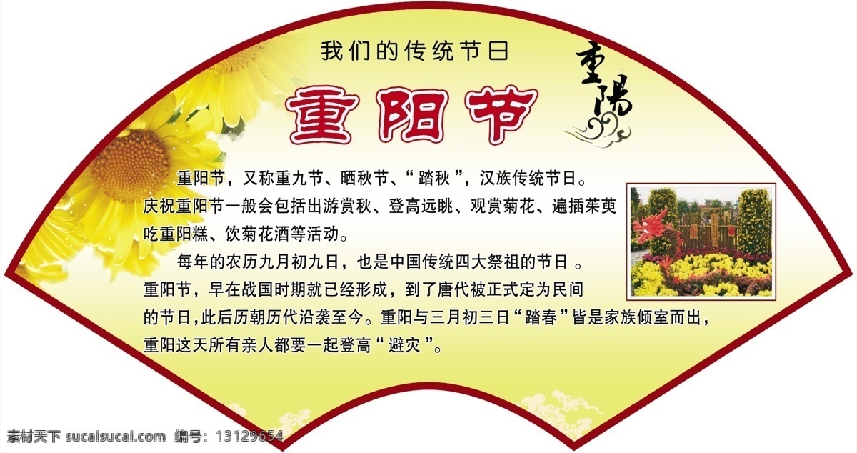学校展板 学校素材 重阳节 传统节日 九月九 老人节 菊花 扇形 分层 白色