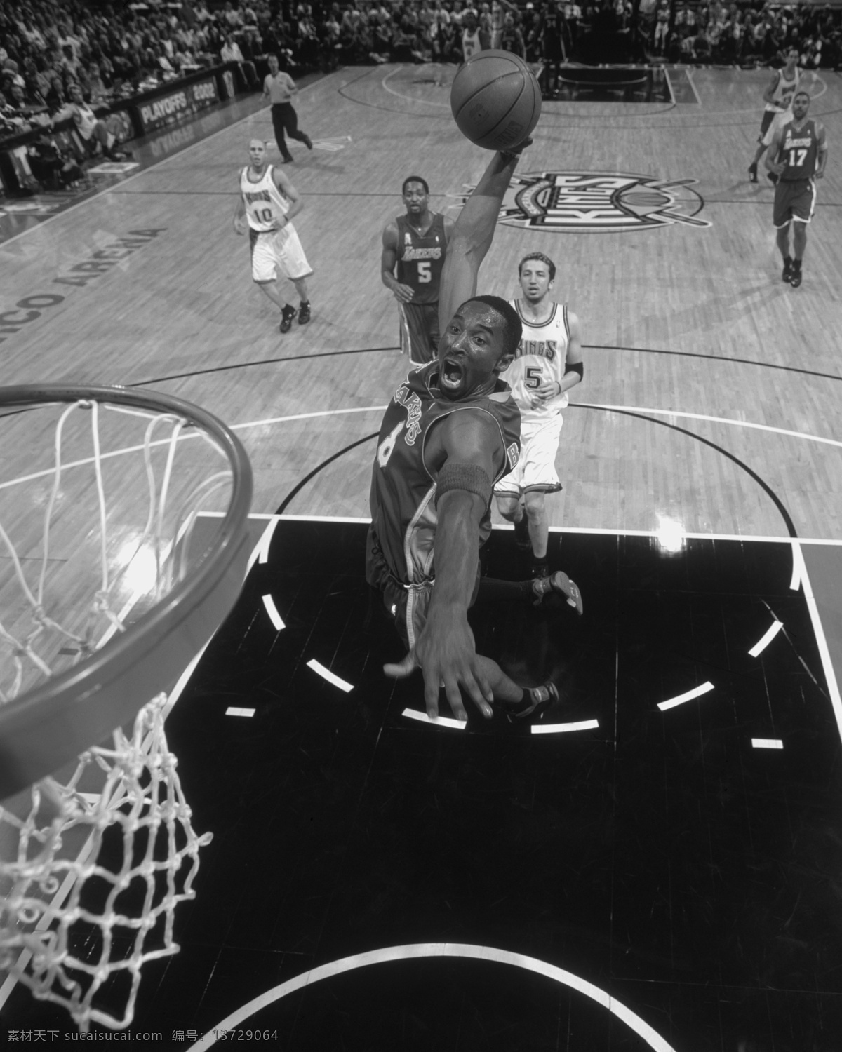 科比 nba 明星偶像 人物图库 湖人队