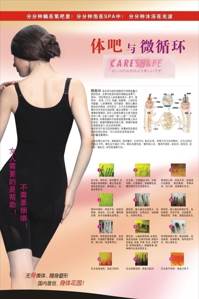 体吧 体吧与微循环 微循环 美女 女人 需要 帮助 不需要捆绑 随身塑形 血管示意图 乳头层效果图 矢量