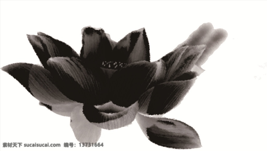 荷花 水墨画 国画 黑白 景色 意境 写意 岩石 墨画 秀丽风景 中国风 花鸟图案 山水画 绘画书法 手绘 印花 刺绣 挂屏图样 挂屏 雕刻 雕刻图样 自然景观 自然风光
