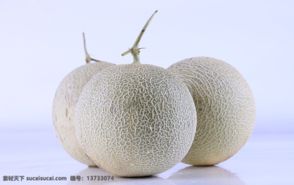 网纹甜瓜 网纹瓜 哈密瓜 甜瓜 香瓜 瓜果 水果 果脯 果肉 网纹 裂纹 生物世界