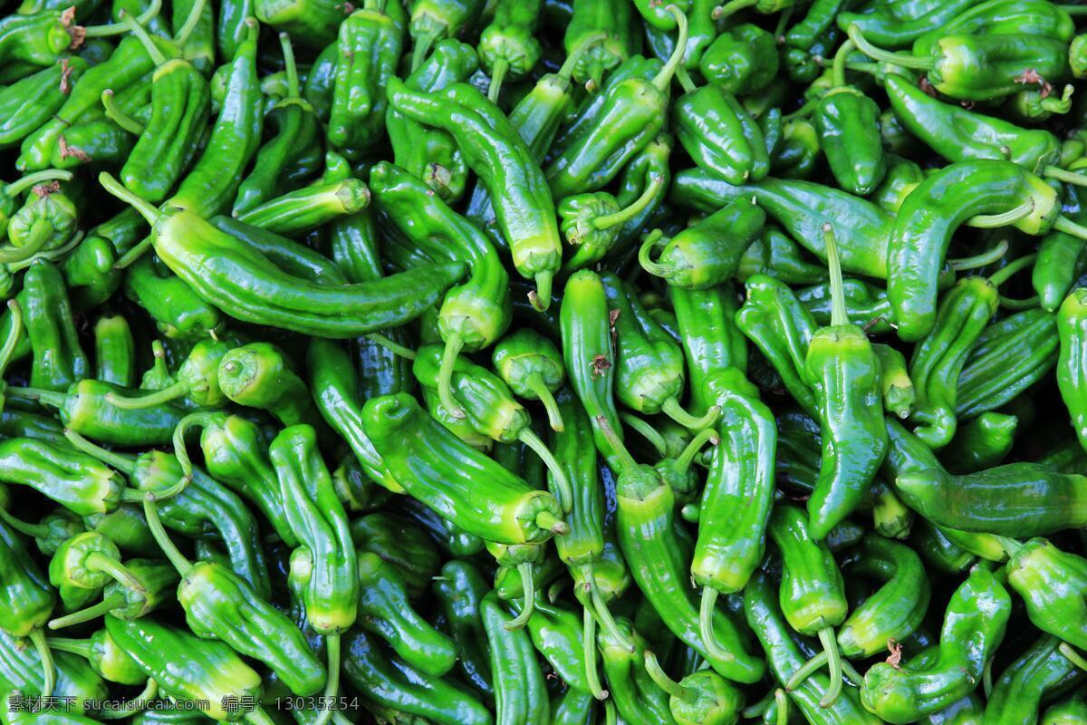 青椒 调料 辣椒 农业 青色 生物 生物世界 植物 无籽 皮薄 种植 蔬菜 矢量图 日常生活
