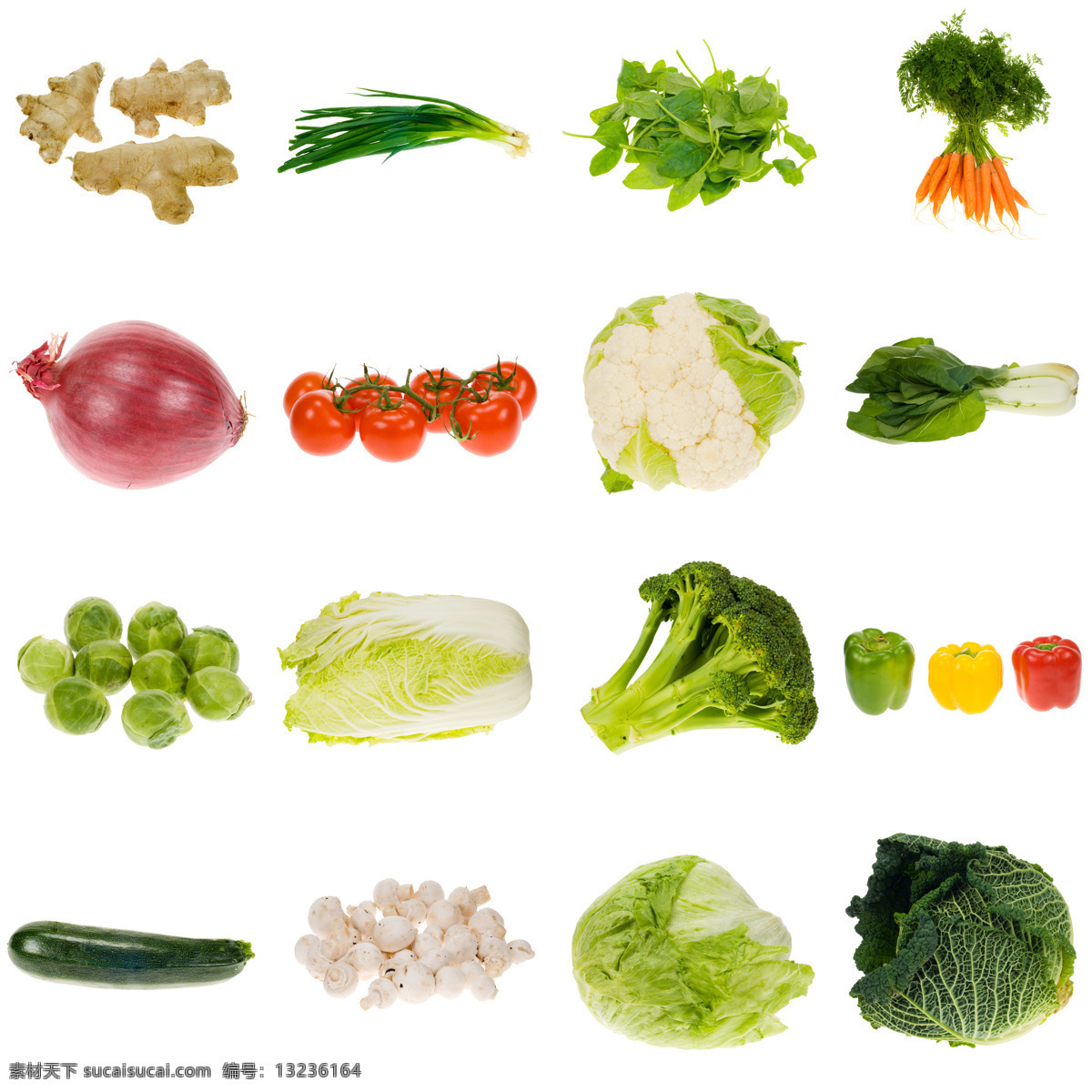 蔬菜 背景 素材图片 花菜 白菜 包菜 青菜 辣椒 萝卜 茄子 洋葱 绿色蔬菜 新鲜蔬菜 蔬菜背景 蔬菜图片 餐饮美食