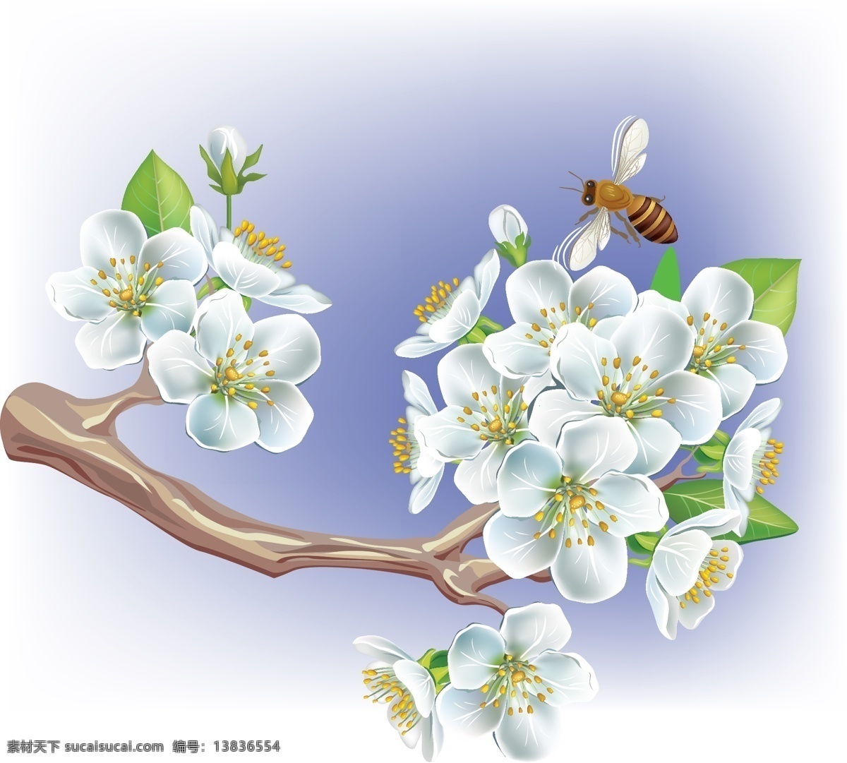 梦幻花纹花朵 花枝 蜜蜂 梦幻花纹 梦幻花朵 梦幻底纹 时尚花纹 时尚底纹 时尚花朵 浪漫背景 唯美 古典 浪漫 矢量 时尚 花纹 梦幻 底纹 底纹背景 底纹边框