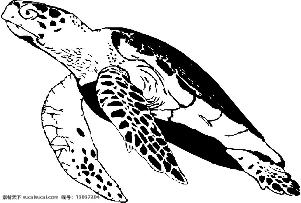 海龟 水底生物 动物 爬行动物 两栖动物 生物世界 野生动物 矢量图库 爬行 类 两栖