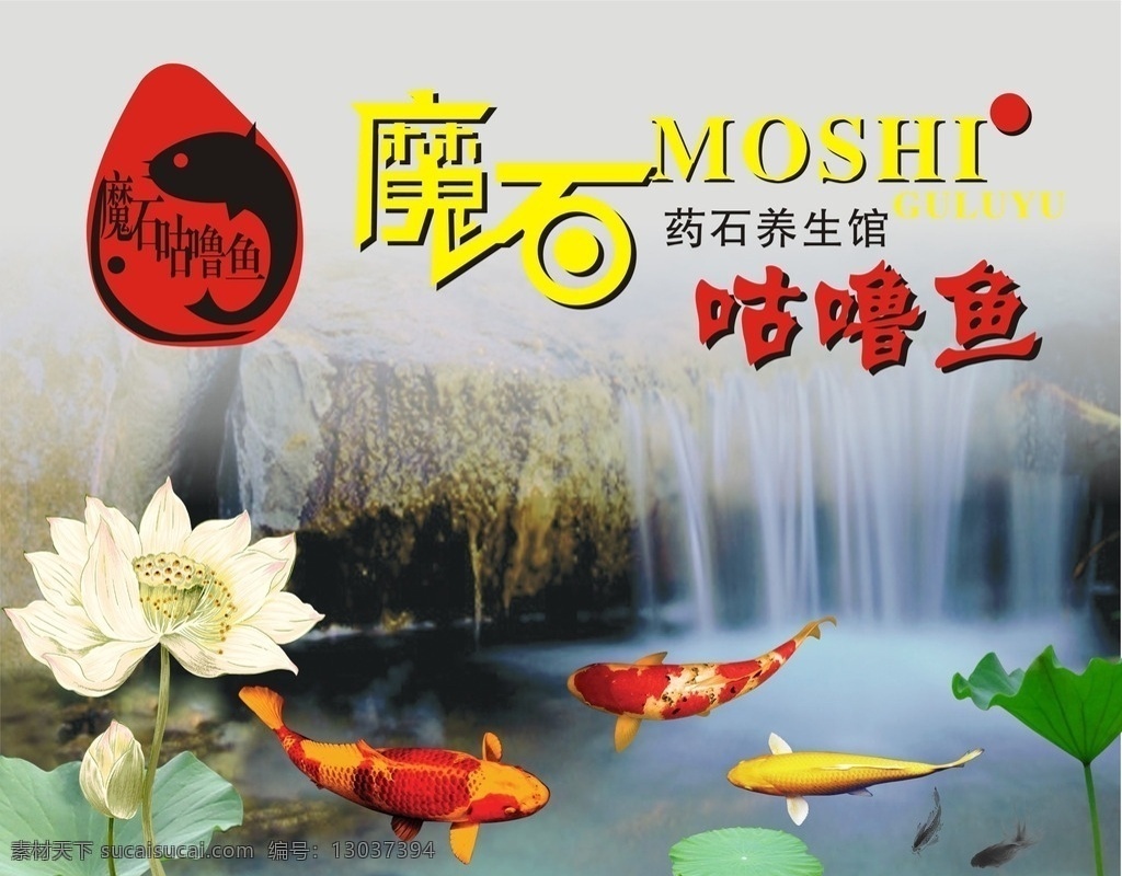 咕噜鱼 魔石咕噜鱼 咕噜鱼标志 锦鲤 荷花鱼 小溪 荷花 鲤鱼 水中鱼