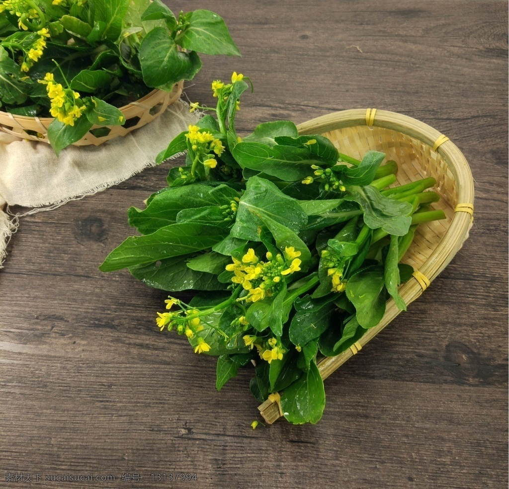 菜心苗 菜心 菜花 小菜花 菜苔 生物世界 蔬菜