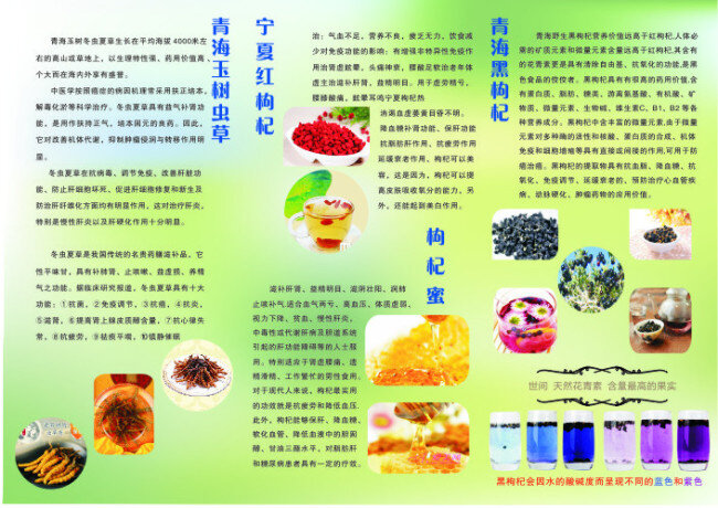 茶免费下载 三 折页 名贵 枸杞 柔和 蜜 昆仑 雪 菊 冬虫夏草 供 欣赏 原创设计 其他原创设计
