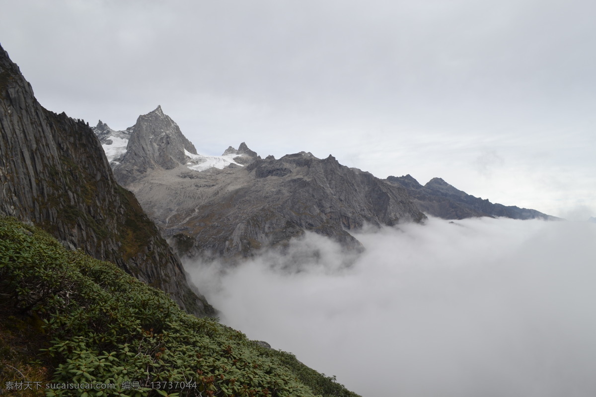 四姑娘山 云海 白云 雪山 高山 云雾 瀑布云 长坪 沟 自然景观 风景名胜 灰色