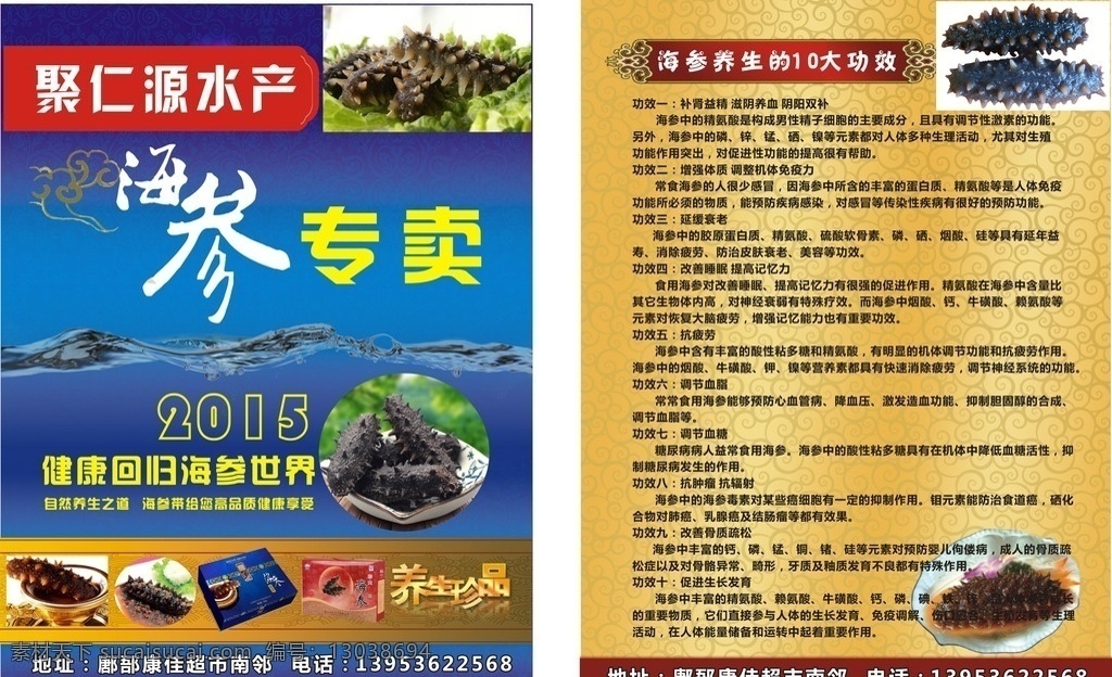 海参水产 海参 水产 海产 包装礼盒 16k 生物世界 海洋生物
