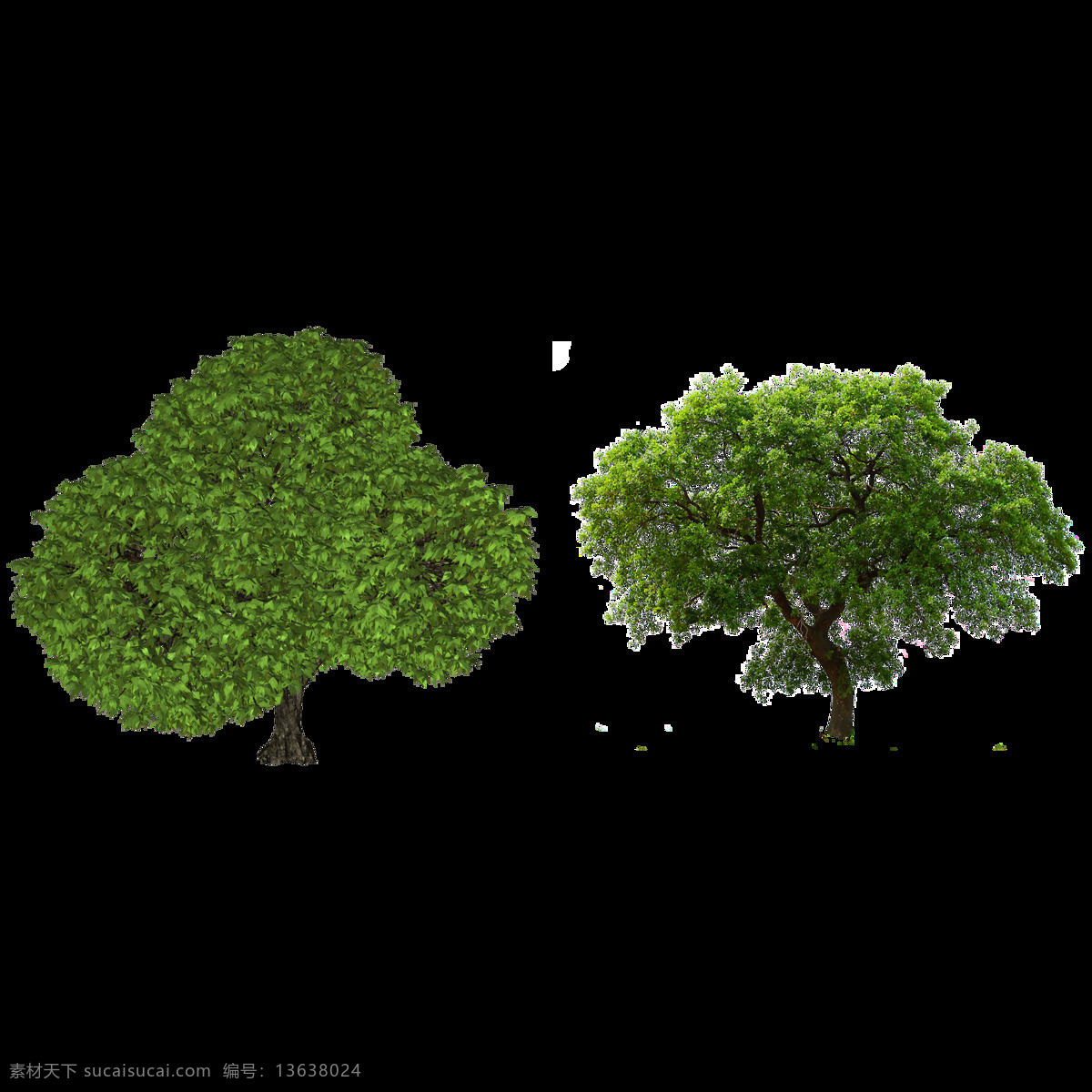 两 棵 绿色 大树 免 抠 透明 图 层 景观植物 植物图片 设计素材 树木背景 林木 植树节 透明图 植物 树叶 园林 树木 景观 植物素材 树木树叶 绿色素材 绿树