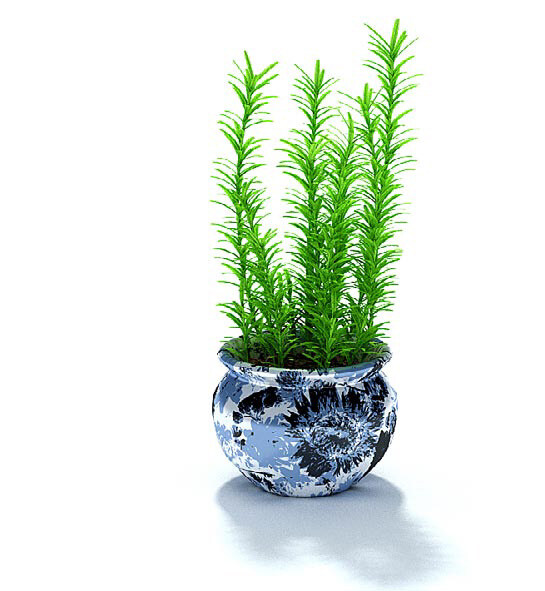 精致 瓷 盆 绿植 盆景 3d 模型 瓷盆 3d模型 模型素材 3d渲染