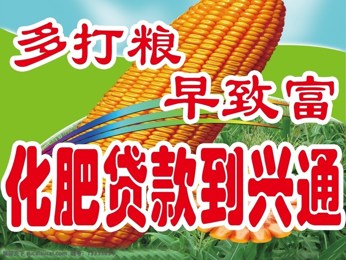 玉米 化肥 玉米背景图 多打粮 早致富 psd源文件