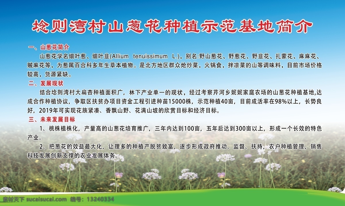 山 葱花 种植 示范基地 简介 山葱花简介 葱花示范基地 山葱花 发展目标 山葱花展板 展板模板