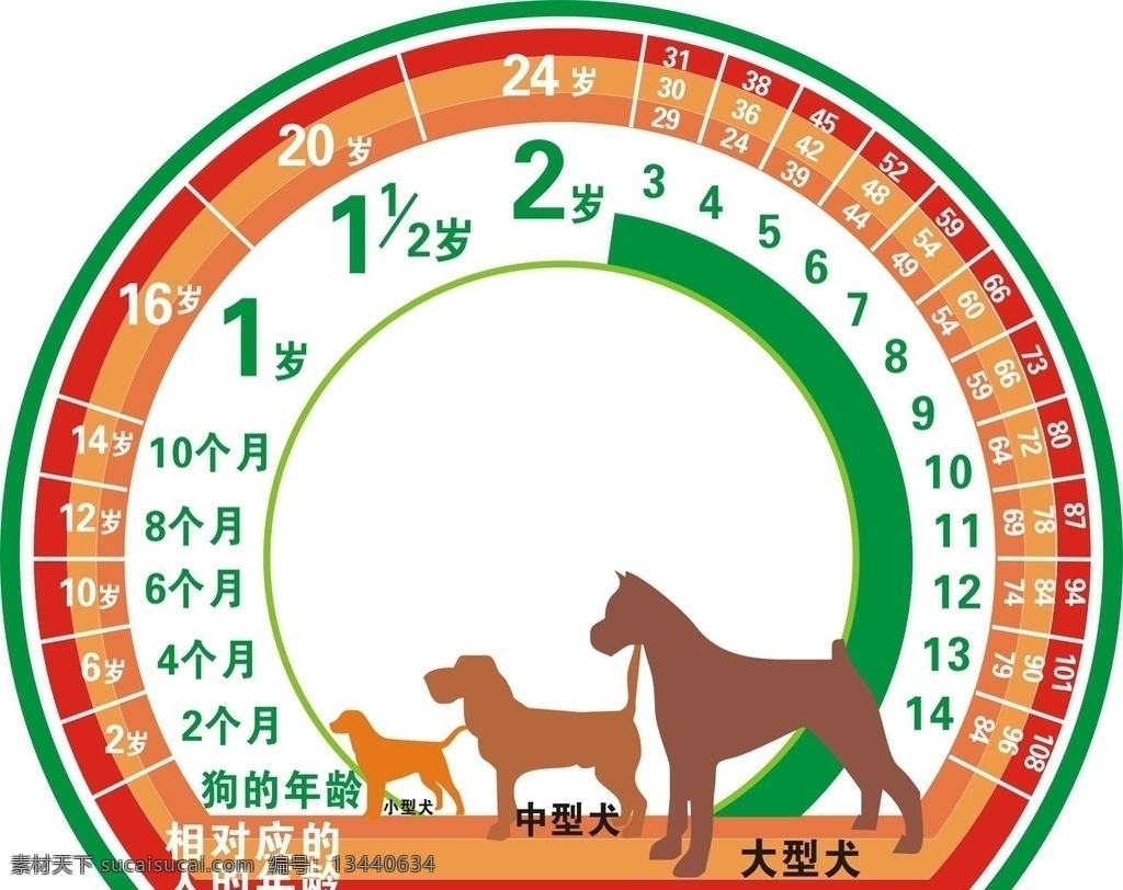 狗 人 相应 年龄 狗人相应年龄 狗狗 狗的年龄 宠物