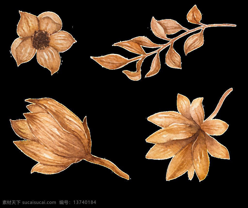干花 干 树枝 树叶 矢量 花朵 花枝 平面素材 设计素材 矢量素材 叶子 植物