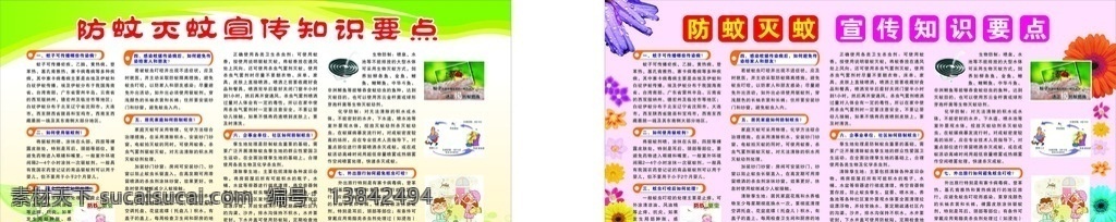 防 蚊 灭蚊 宣传 窗 防蚊灭蚊 宣传窗 绿色背景 粉红背景 菊花 防蚊卡通图片 蚊香 宣传栏