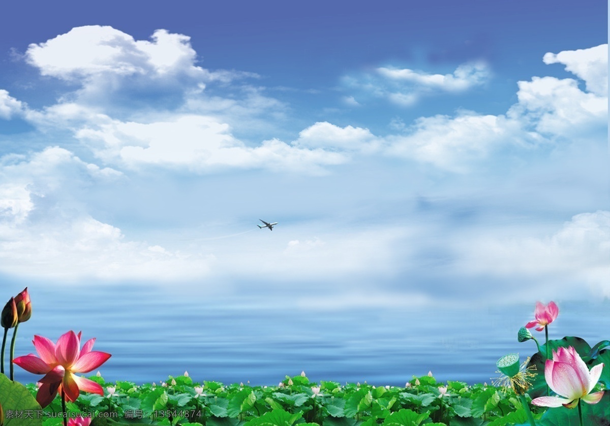 荷花天空 荷花 天空 底版 背景 蓝天 分层 源文件