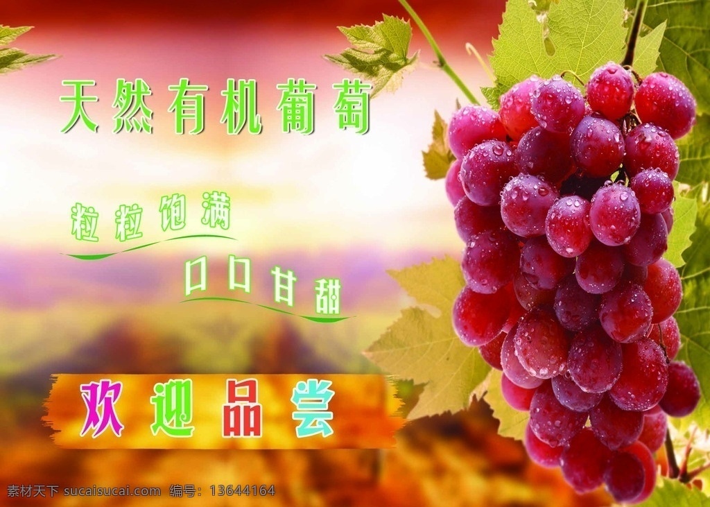 天然有机葡萄 葡萄 天然有机 葡萄粒 葡萄广告 葡萄海报