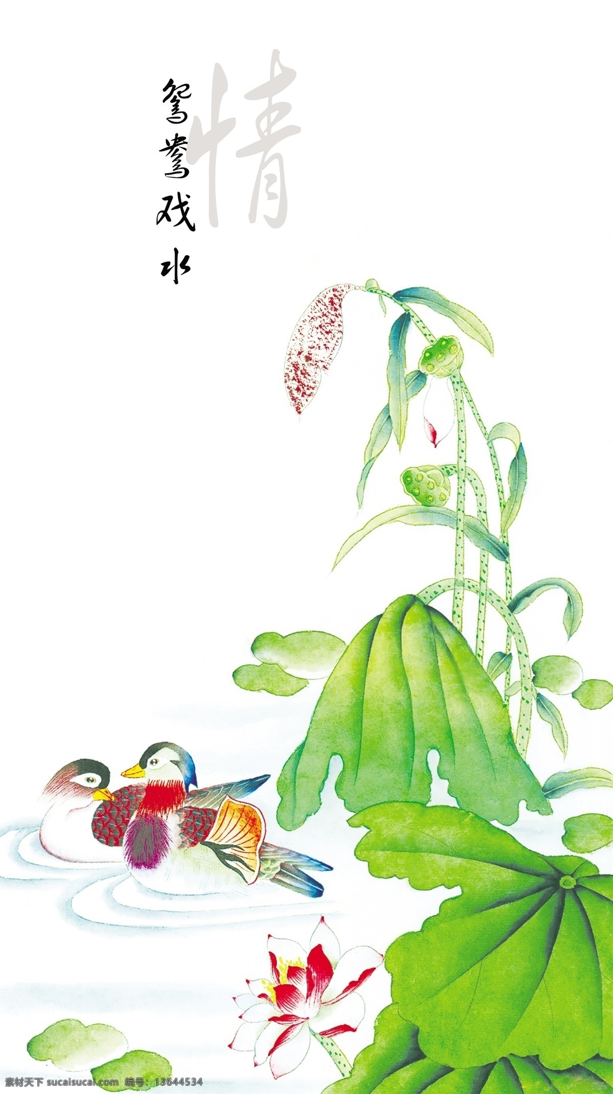 鸳鸯 戏水 荷花 美术绘画 分层 源文件库