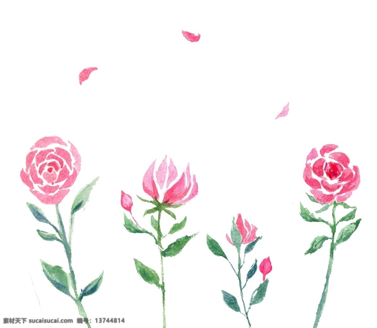 绽放 水 彩花 插画 红色的水彩花 卡通插画 花朵插画 水彩花插画 花朵 花枝 鲜花 花束 绽放的水彩花