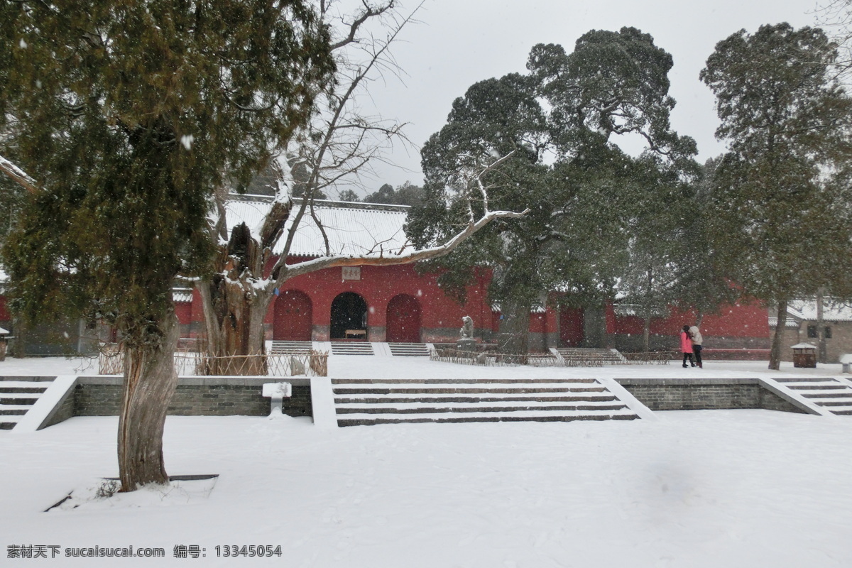 会 善 寺 冬季 雪景 登封 嵩山 寺院 银杏 柏树 大门 雪花 登封风光 国内旅游 旅游摄影 灰色