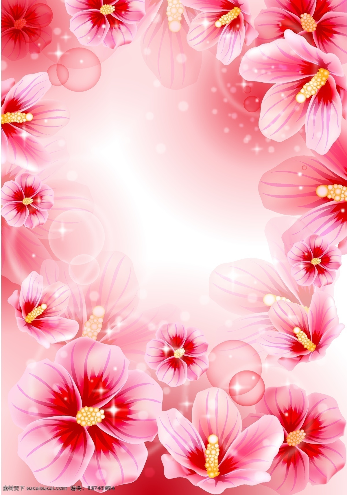 木槿花 美丽的 花卉 笔记本封面 广告设计素材 包装印花 底纹边框 花边花纹
