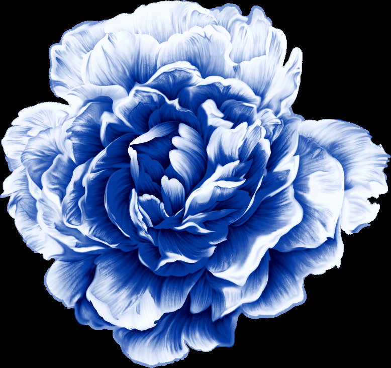 唯美 手绘 蓝色 牡丹 花朵 图案 蓝色牡丹 唯美牡丹 花开富贵 手绘花朵 装饰图案 水彩花 免扣素材 png花朵 花朵图案 中国风 金边牡丹 牡丹国色