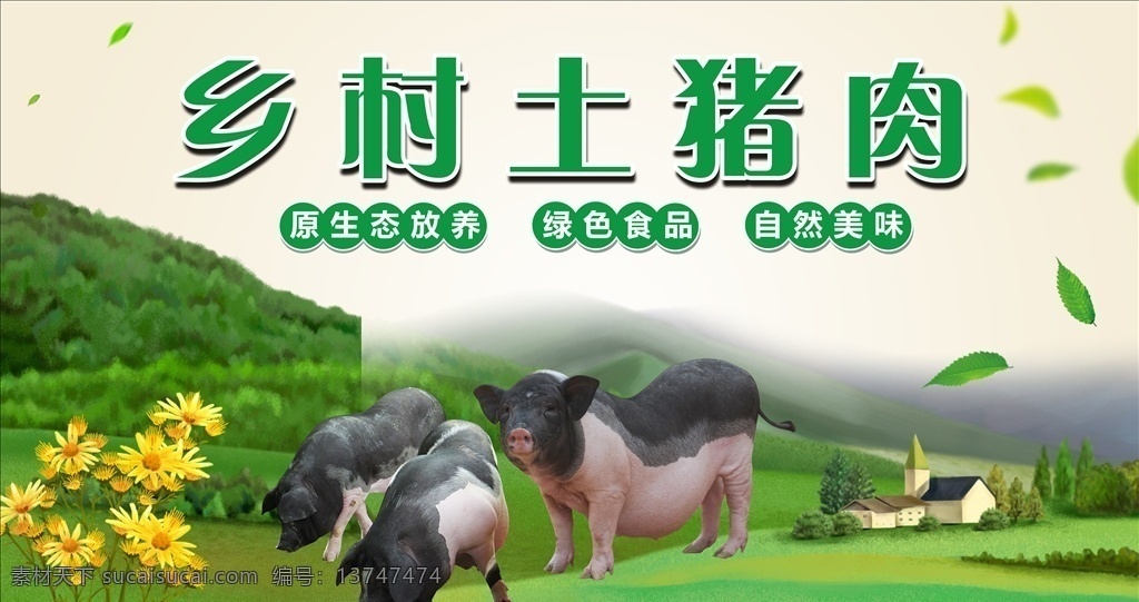 乡村土猪肉 原生态放养 绿色食品 自然美味 野菊花 果蔬名片