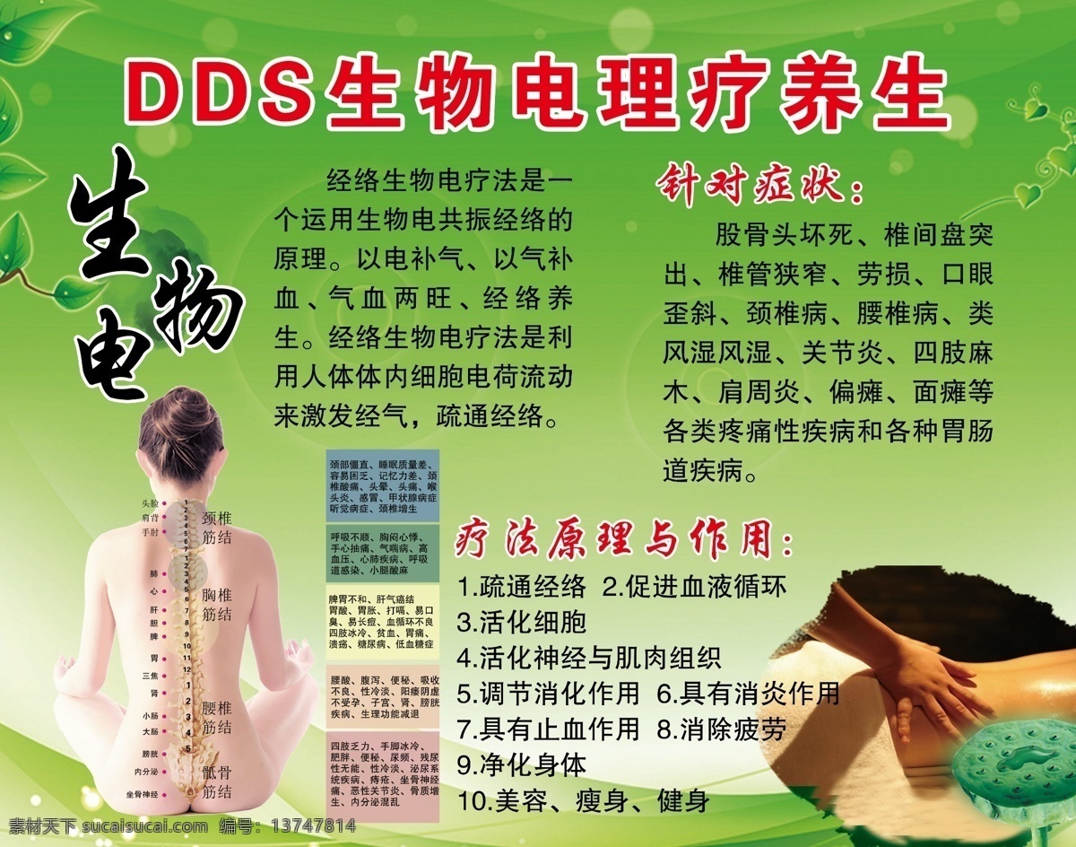 生物 电 理疗 养生 dds 生物电理疗 生物电养生 生物电 疗法原理 中医养生 美容院 中医馆 会所展板 疗法 展板模板