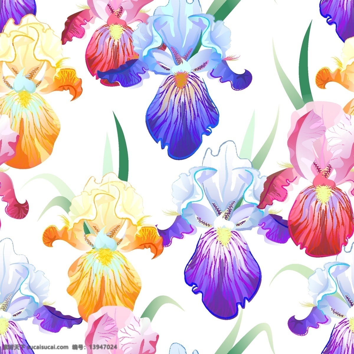鸢尾花 背景 插画 花朵 花卉 植物 背景素材 花纹花边 底纹边框 矢量素材 白色