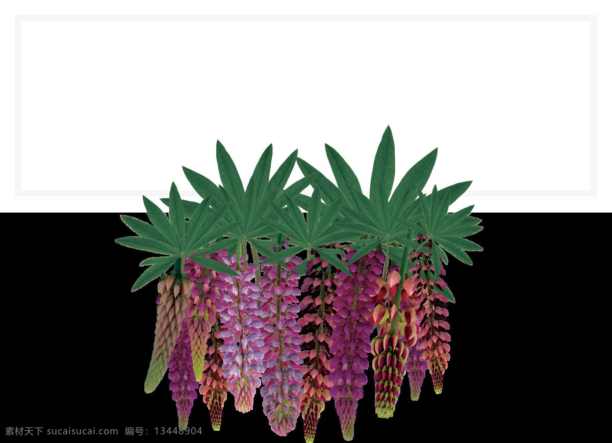 手绘 逼真 简洁 植物 透明 果实 免扣素材 清新脱俗 透明素材 下垂 叶子 装饰图片 紫色