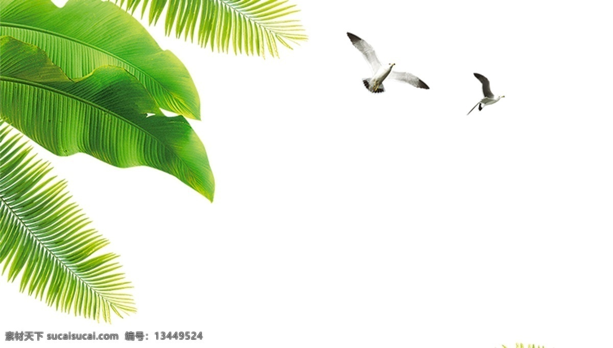 手绘 卡通 椰树 装饰 绿色 沙滩 叶子 鸟儿 夏天