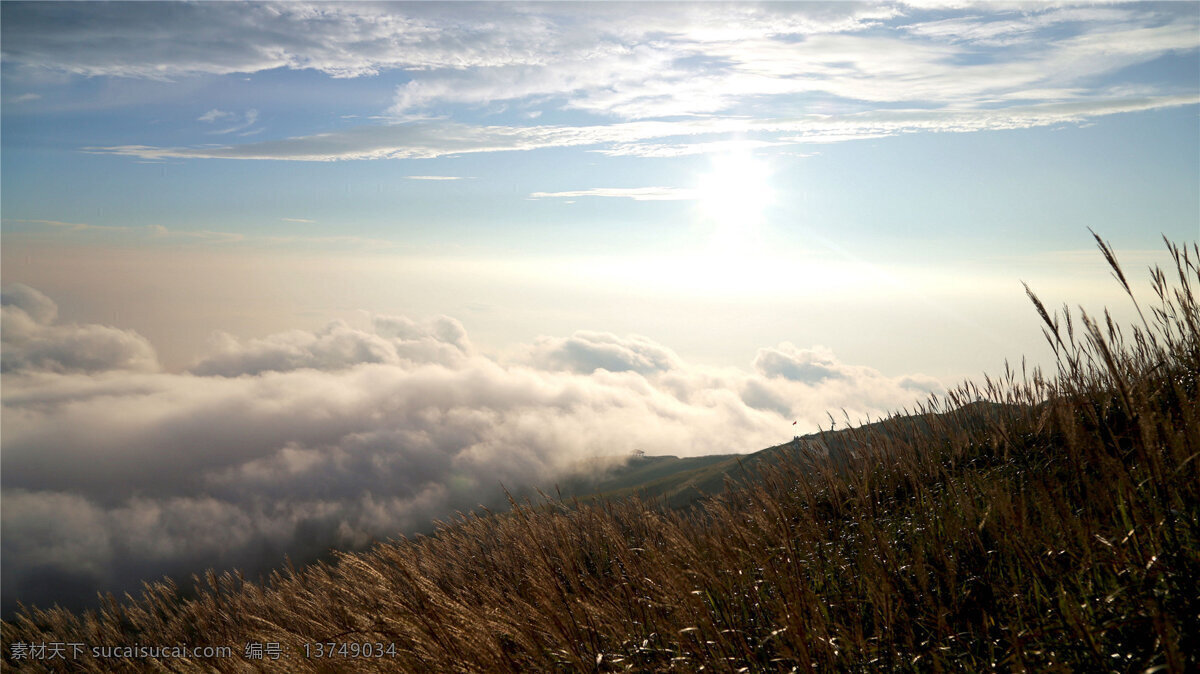 武功山 云海 风景 唯美 高清 云层 自然景观 自然风景