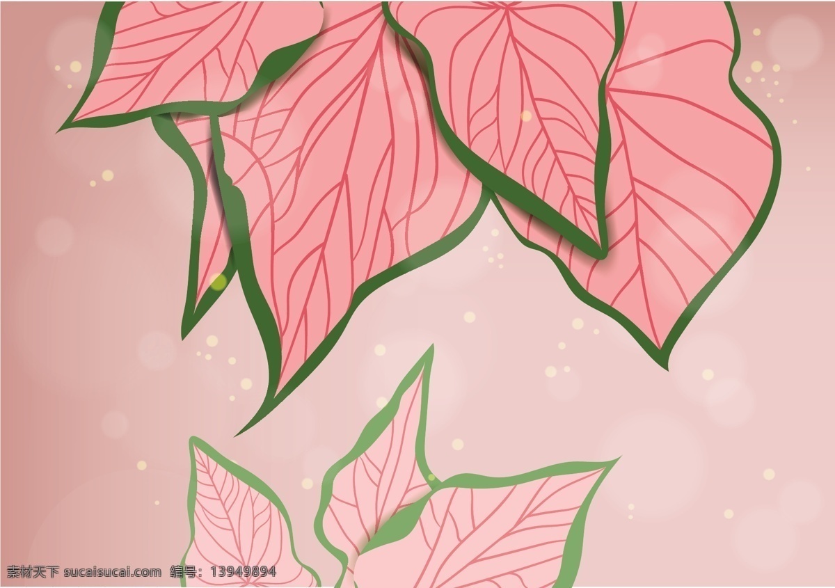 植物 叶子 矢量 枫叶 树叶 矢量素材