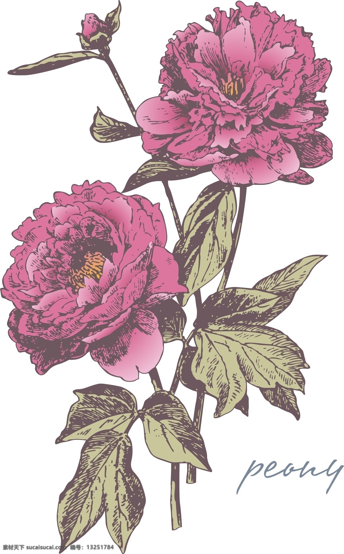 背景图片 花边素材 花卉图案 花纹素材 模板 素材元素 复古鲜花 植被图案 自然植被 矢量图 花纹花边