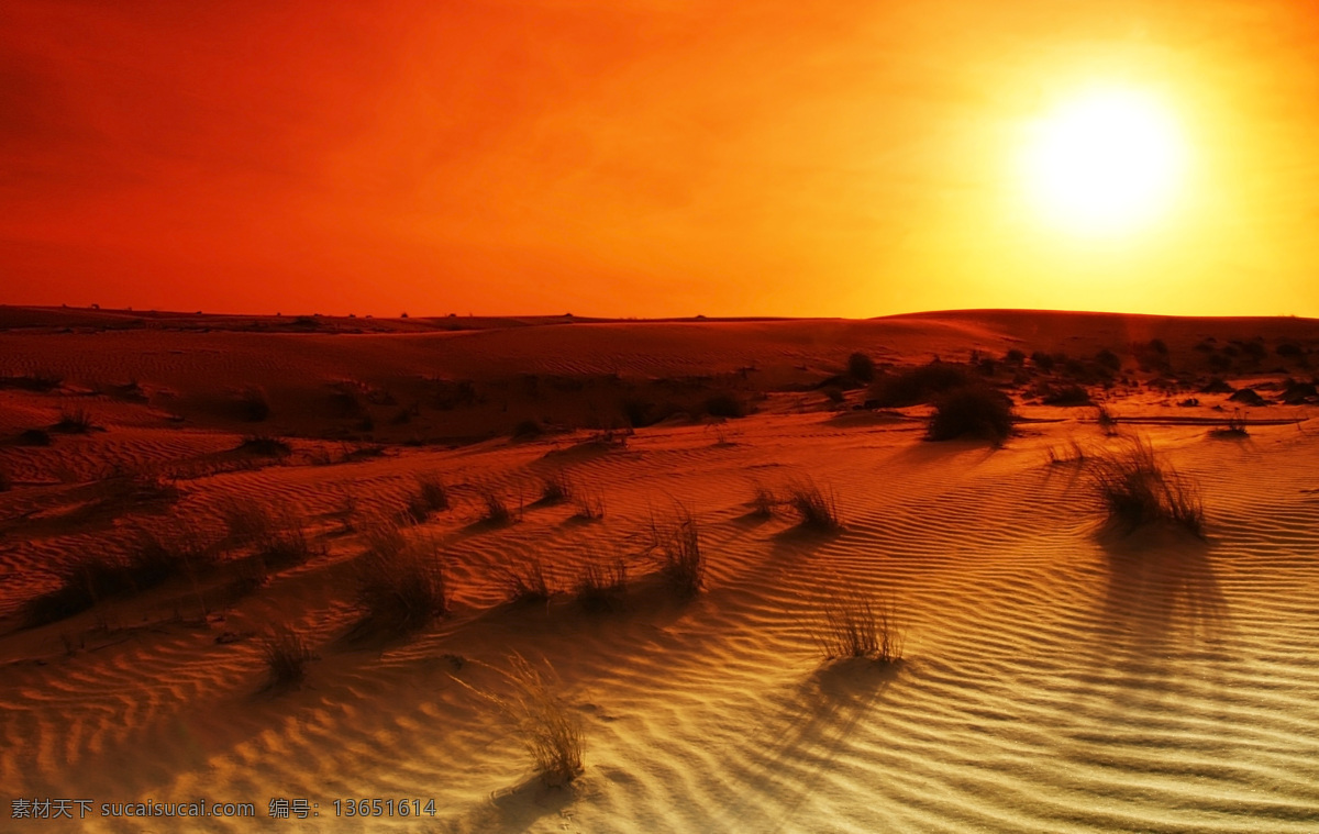 沙漠日落风景 日落风景 沙漠风景 沙漠 自然风景 落日 自然景观 红色
