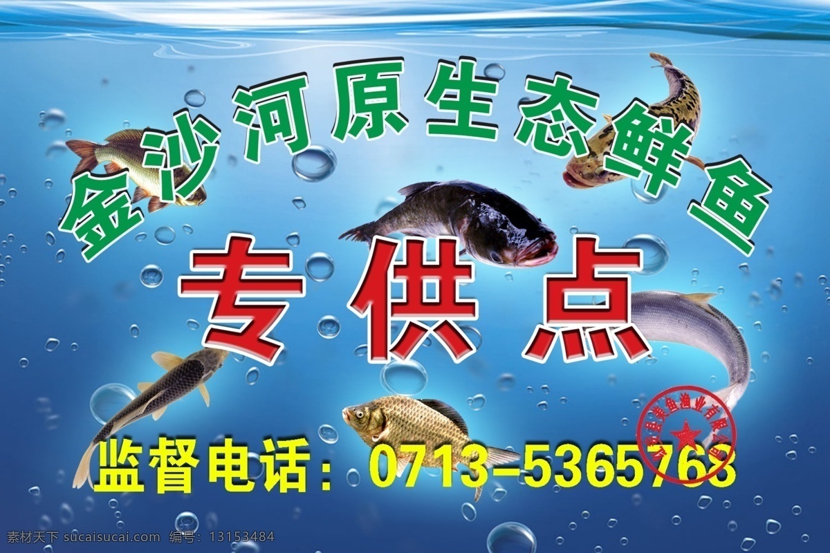 生态 鲜鱼 专 供 点 海水 蓝色 水 水泡 胖头鱼 黑鱼 白鱼 鲫鱼 鲤鱼 鲢鱼 生态鲜鱼 游动的鱼 广告设计模板 源文件