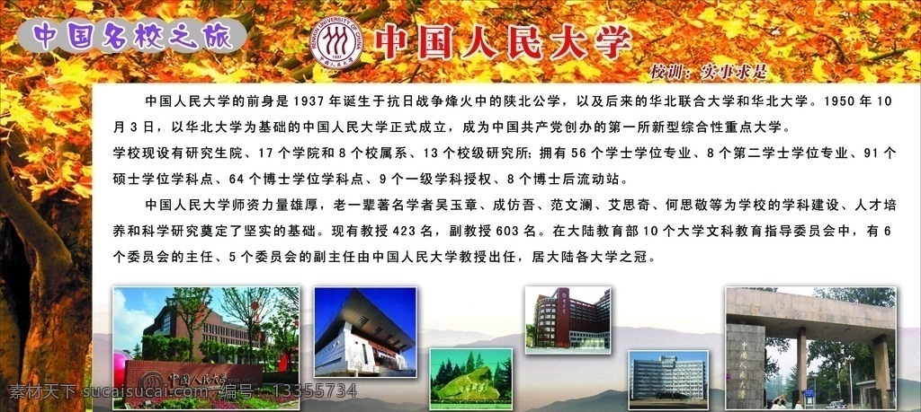 中国名校 中国人民大学 名校之旅 清华 北大 枫叶 名校简介 名校100强 分层