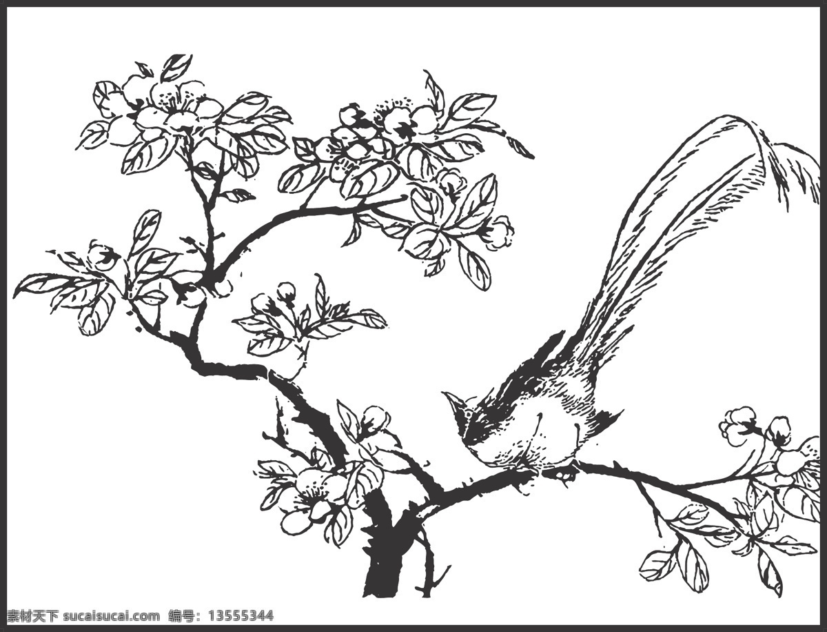 植物 花卉 观赏 鸟儿 装饰 线条 矢量 插画 白描 花鸟白描图 生物世界 鸟类