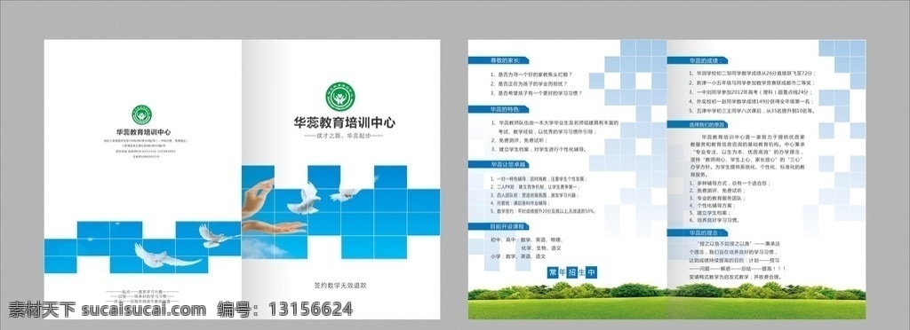 培训机构 折页 对折页 培训 对作折页 蓝色 单色 简单