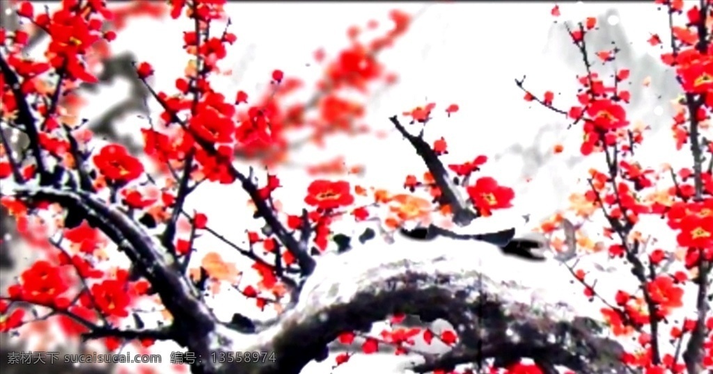 梅花 背景视频 舞台背景 合成素材 中国风背景 中国风 雪景 雪梅 多媒体 影视编辑 合成背景素材 mp4