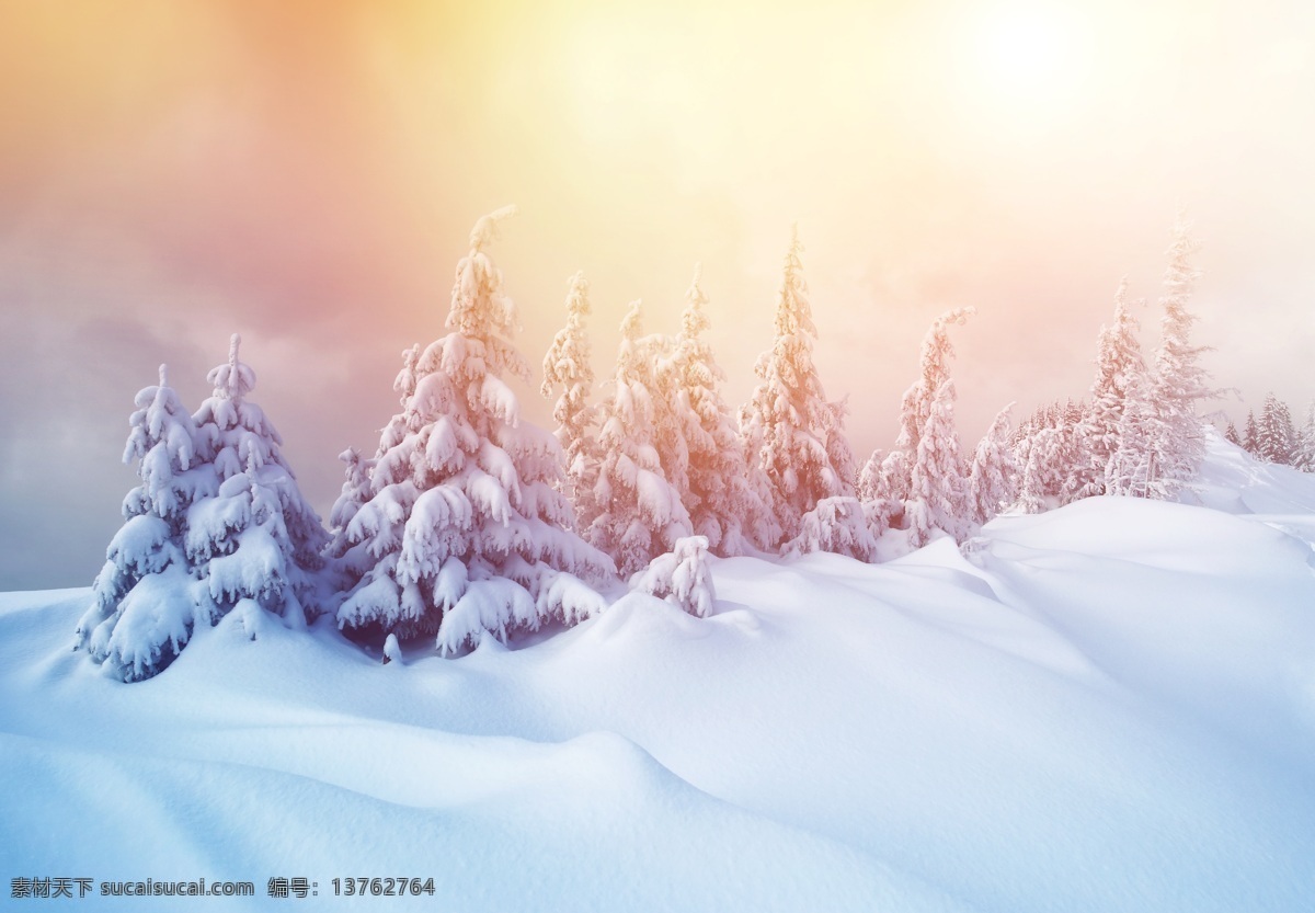 冬天 雪景 雪地 白雪 树林 松树 森林 针叶林 雪花 冬季 寒冷 自然 美景 梦幻 美丽自然 自然景观 自然风光