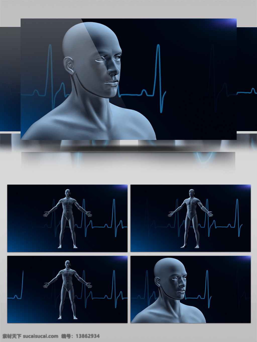 3d 人体 旋转 放大 心电图 跳动 大气 科技感 蓝色 公司 宣传 科技风 震撼 高科技 片头