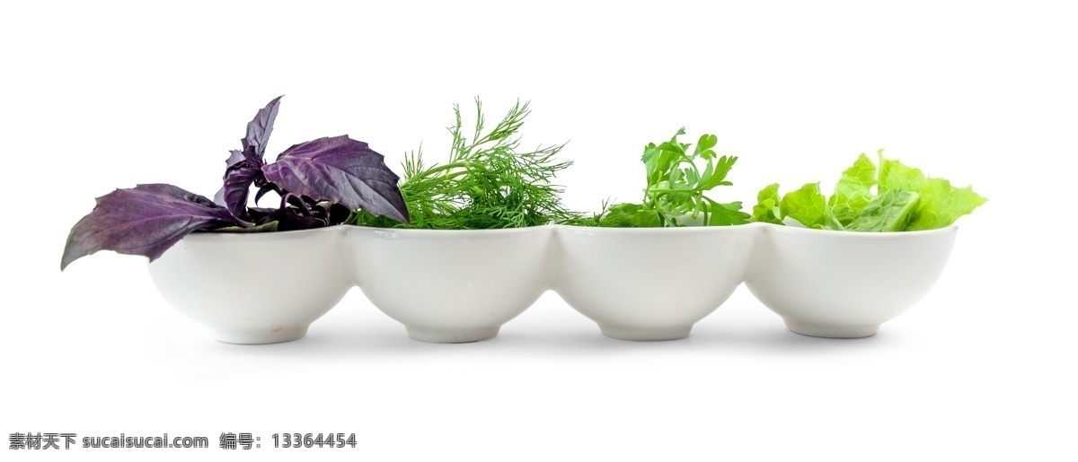 侧面图 放在 碗 里 蔬菜 源文件 生菜 紫甘蓝 美味 绿色 装饰图案