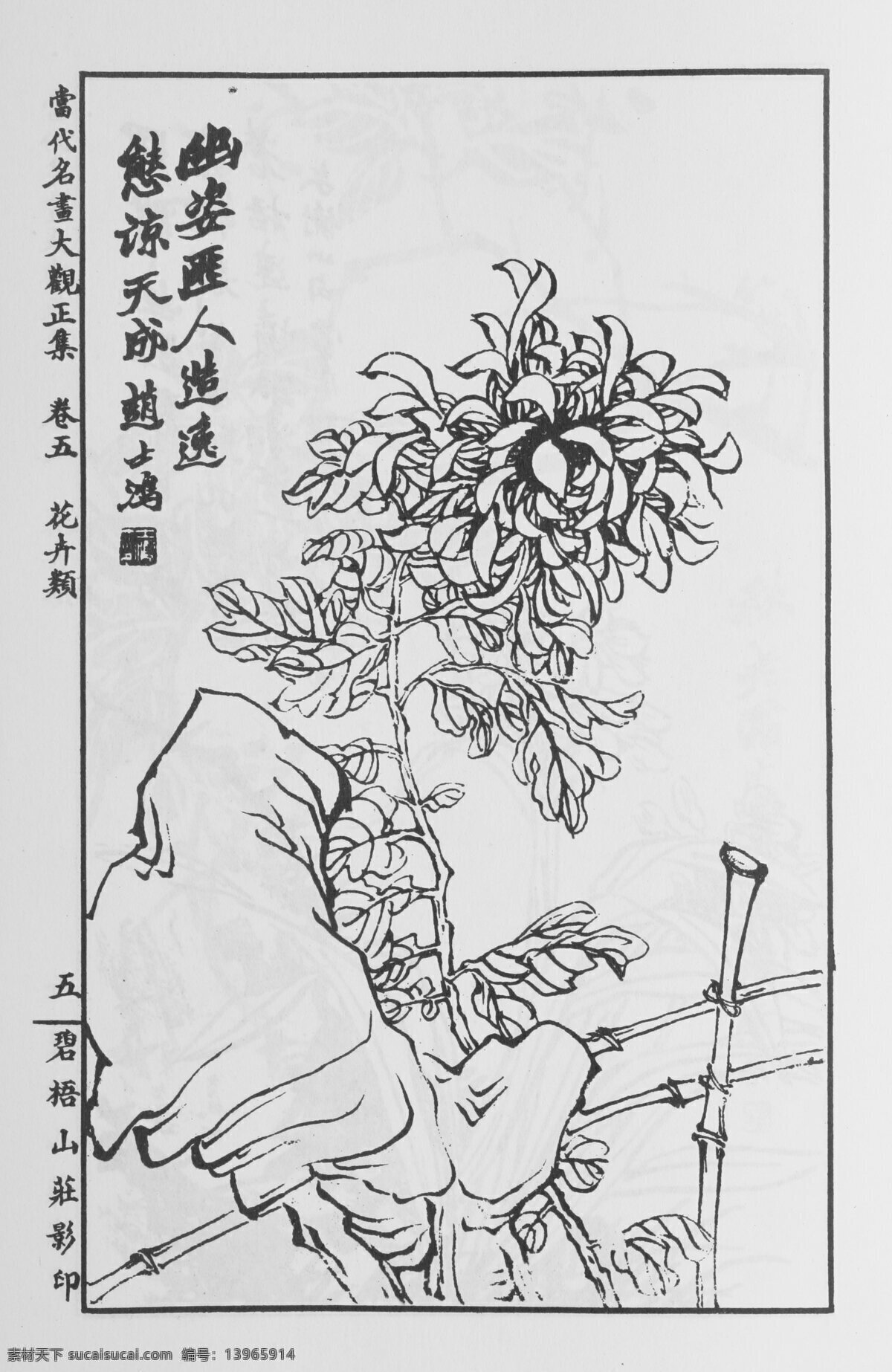 花卉画 中国画 当代 名画 大观 正 集 设计素材 花鸟画篇 中国画篇 书画美术 白色