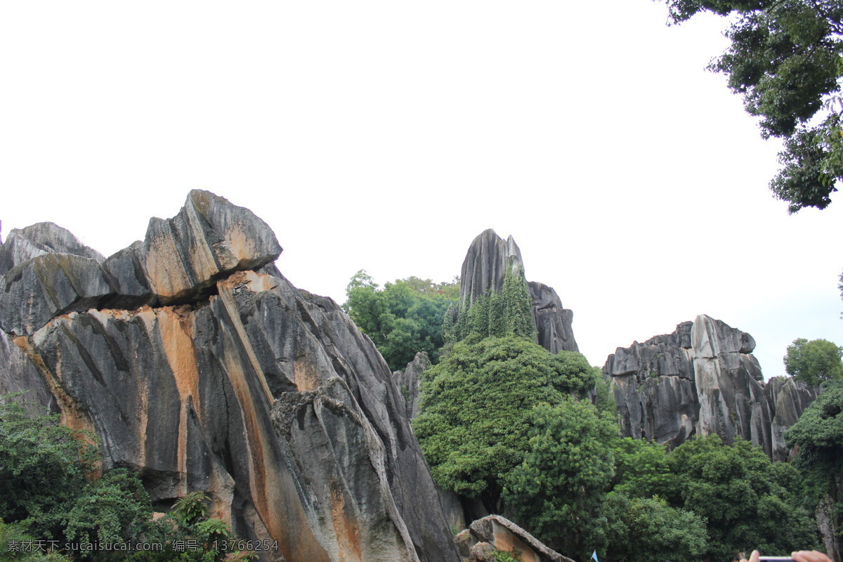 山石 石林 石头 树木 园林 自然景观 自然风景 白色