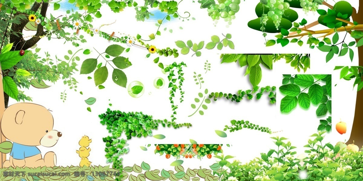 植物素材 植物 儿童素材 绿色植物 儿童后期素材 卡通熊
