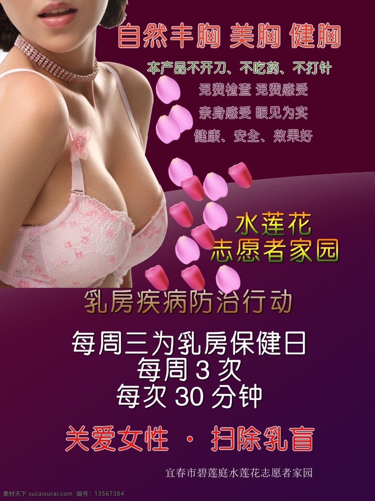 乳房保健 丰胸广告 美胸矢量文件 丰胸广告画面 设计文件