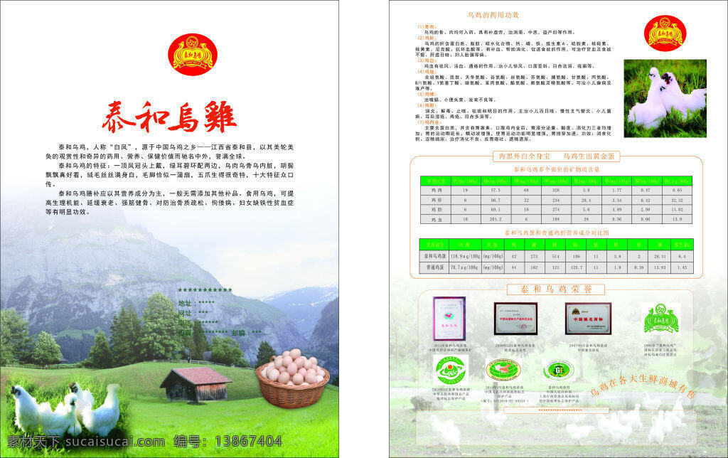 乌鸡单页 乌鸡 泰和乌鸡 单页 正宗 宣传